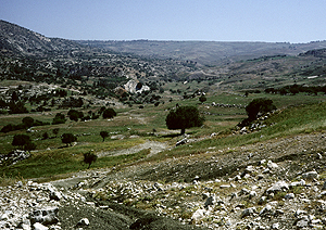 LEICA M3, SUMMICRON 2/50